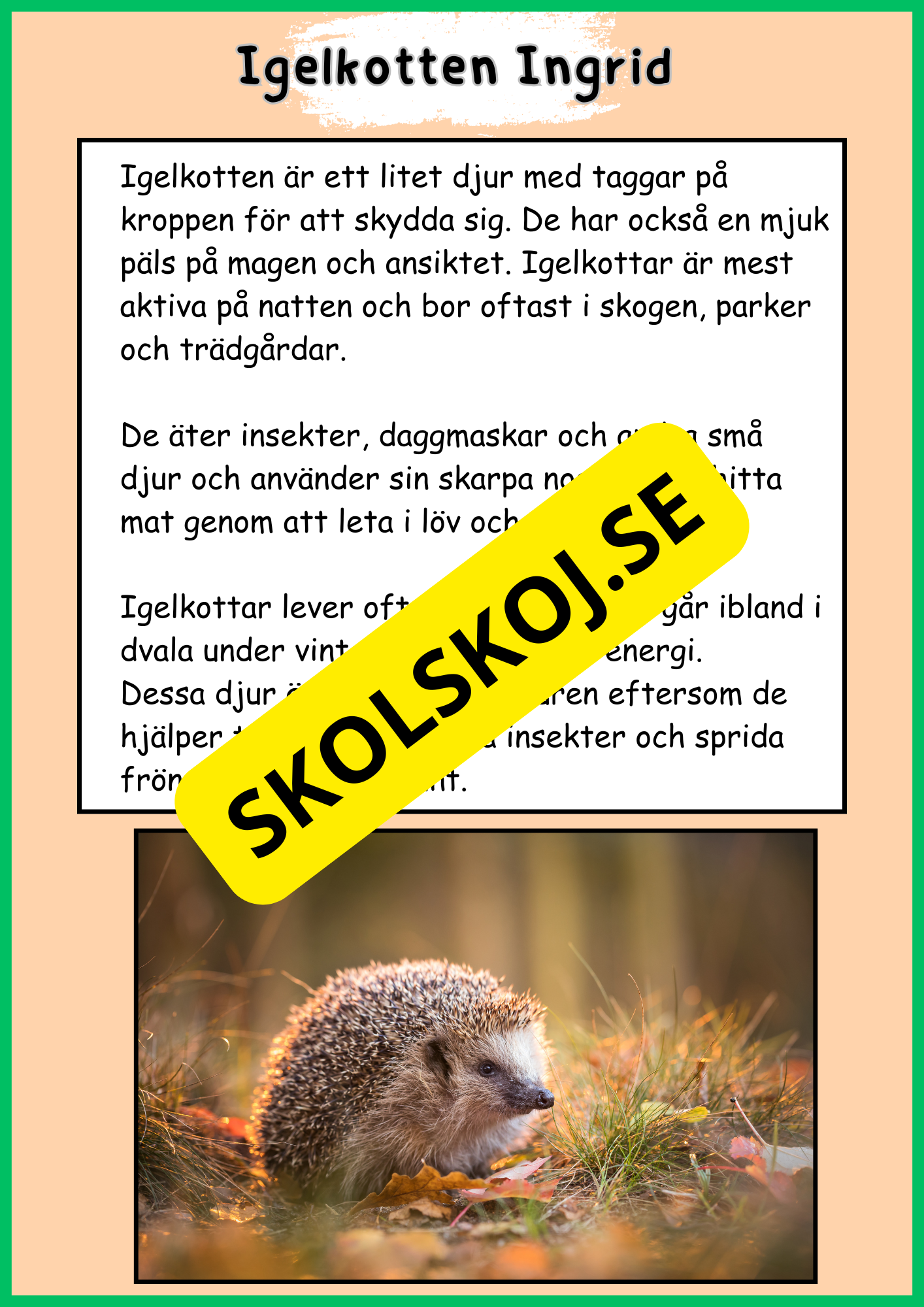 Skogens djur - Häfte