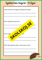 Skogens djur - Häfte