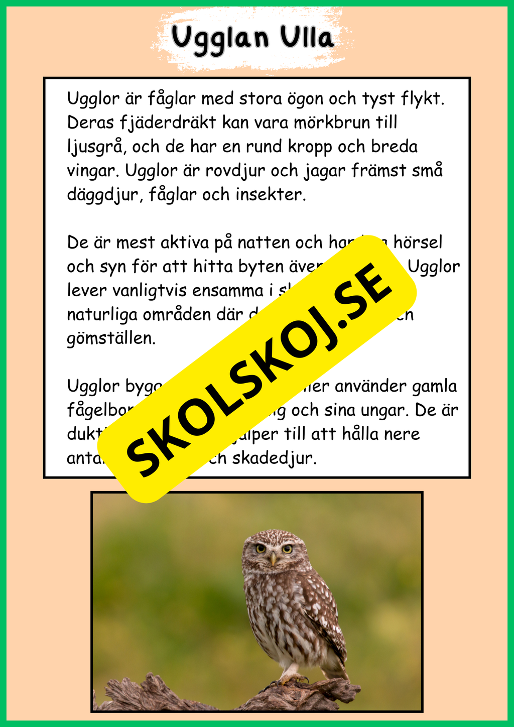 Skogens djur - Häfte