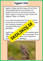 Skogens djur - Häfte