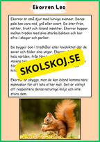 Skogens djur - Häfte