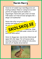 Skogens djur - Häfte