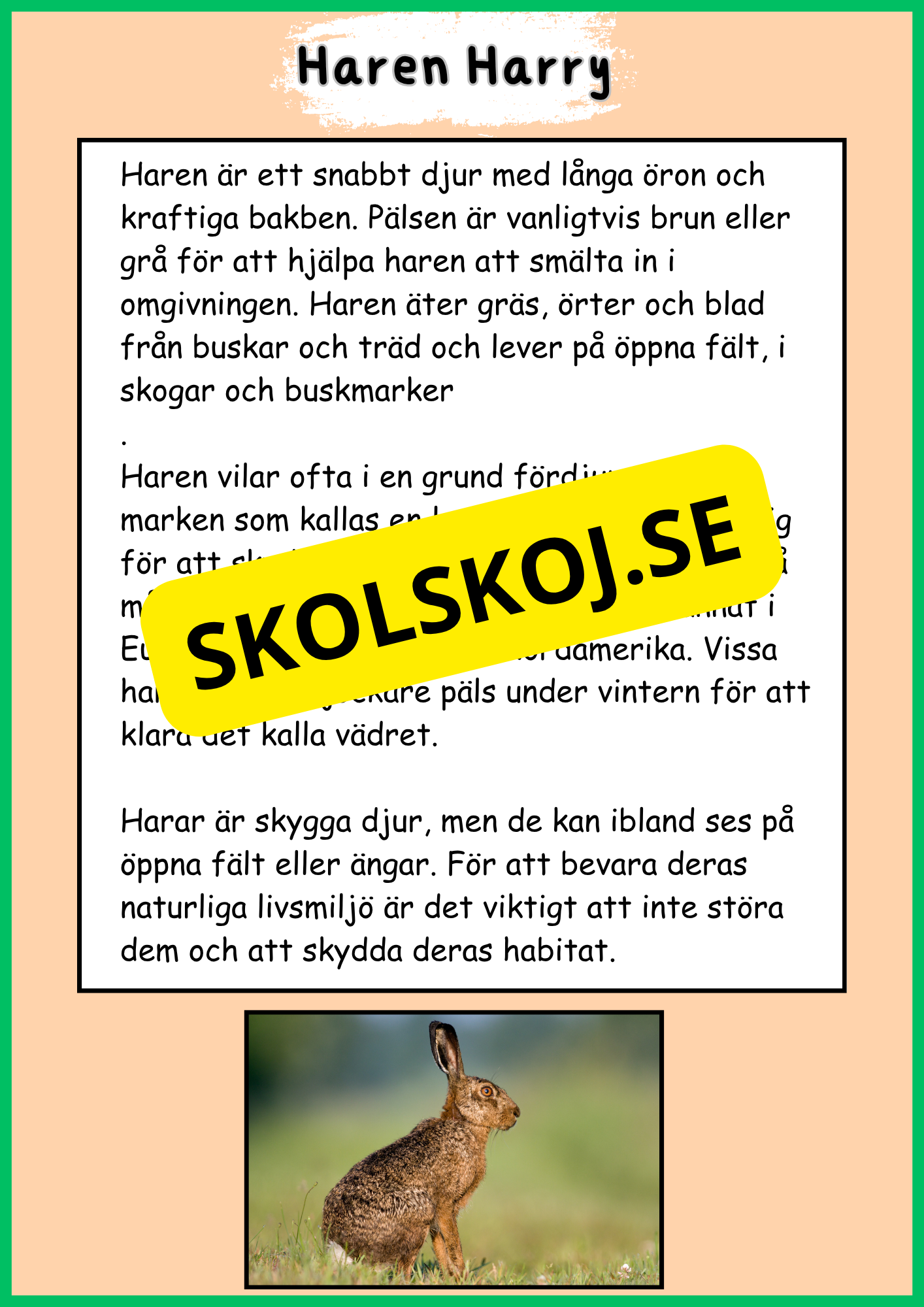 Skogens djur - Häfte