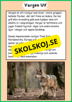 Skogens djur - Häfte