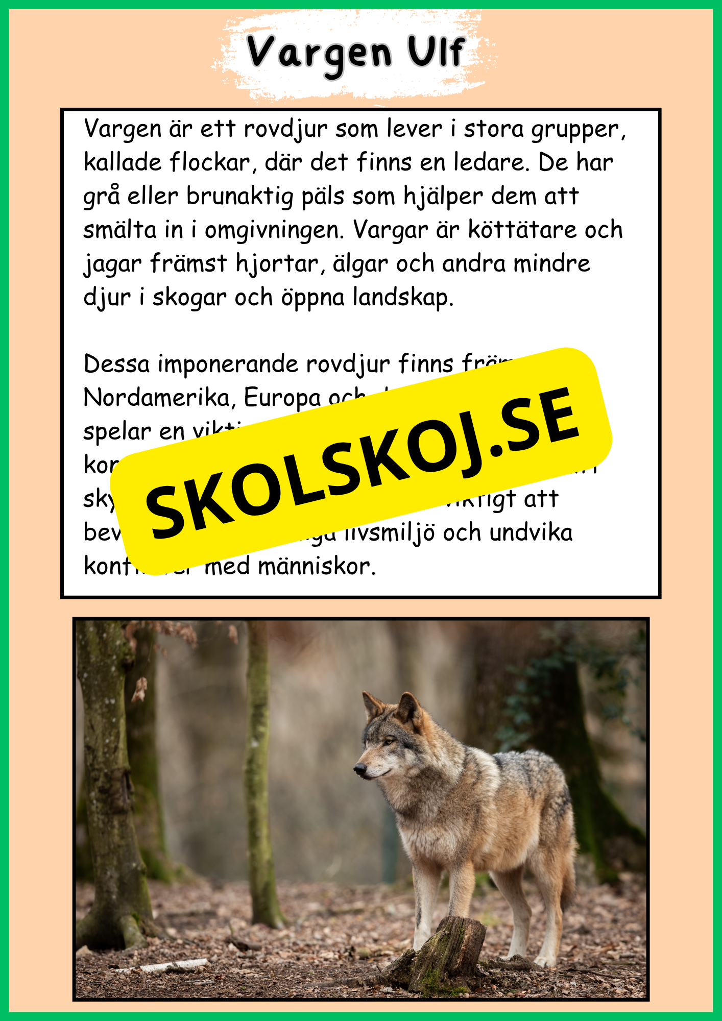 Skogens djur - Häfte