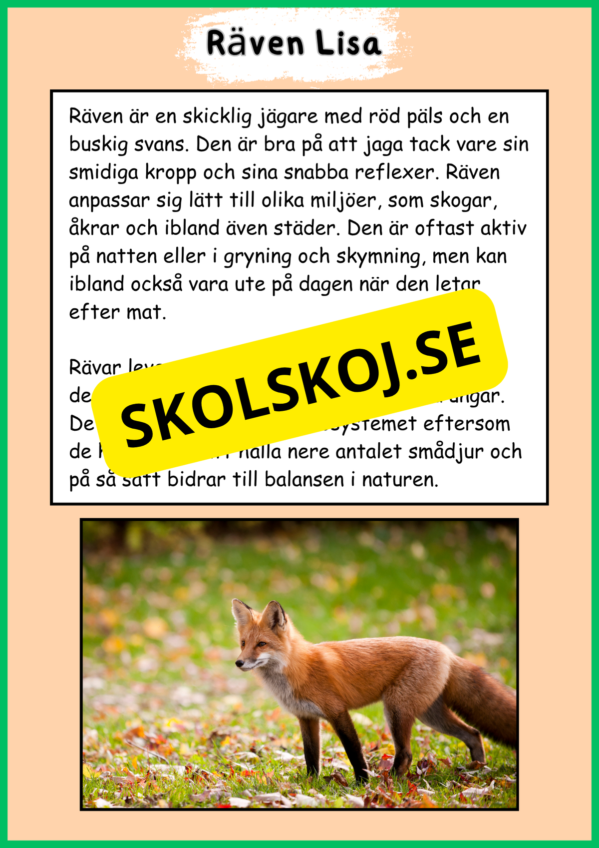 Skogens djur - Häfte