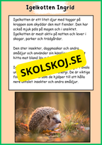 Skogens djur - Häfte