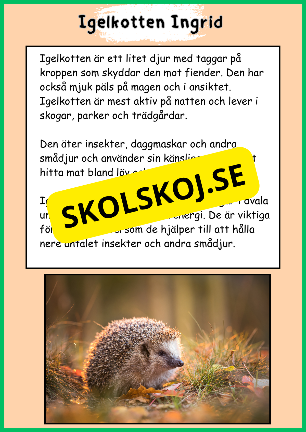 Skogens djur - Häfte