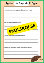 Skogens djur - Häfte