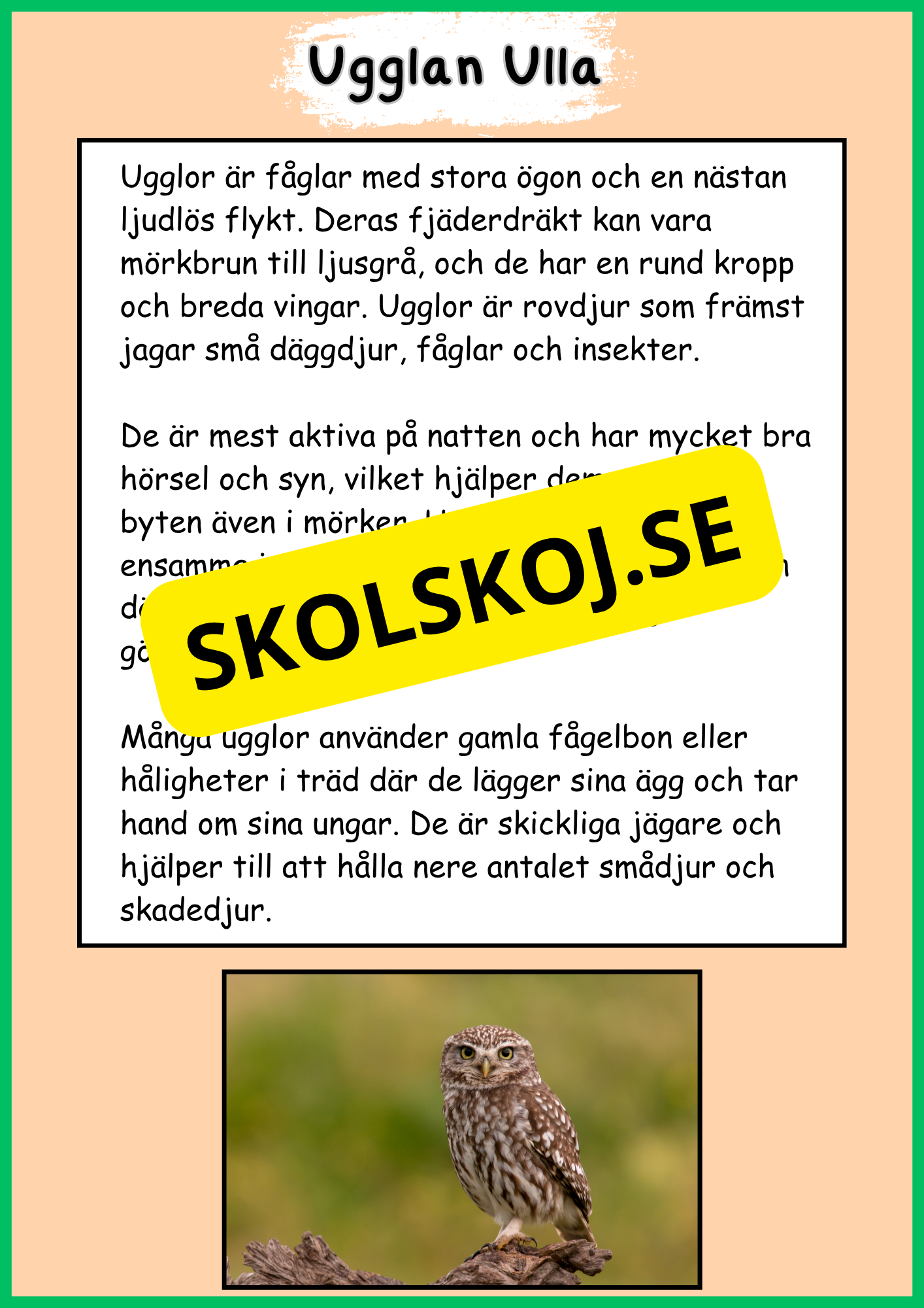 Skogens djur - Häfte