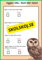 Skogens djur - Häfte