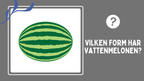 Skoj med former - Frågesport (38 sidor)