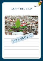Skriv till bild - Häfte