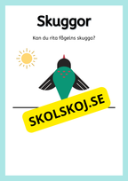 Skuggor