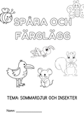 Spåra och färglägg - Sommardjur och insekter