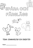 Spåra och färglägg - Sommardjur och insekter