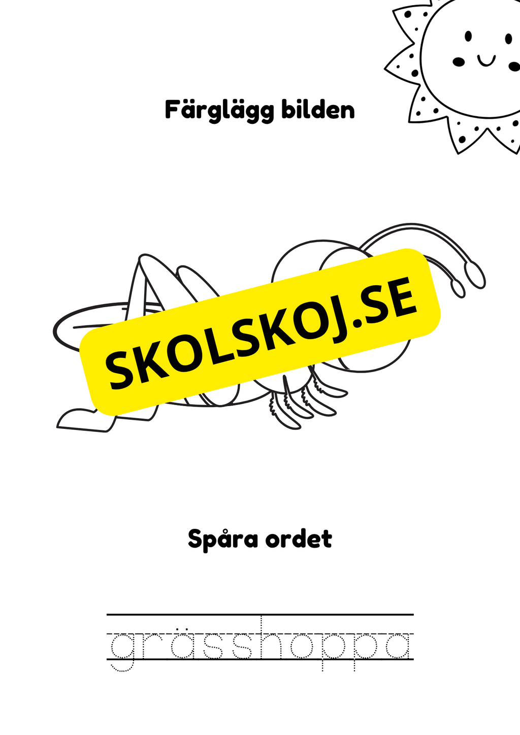 Spåra och färglägg - Sommardjur och insekter