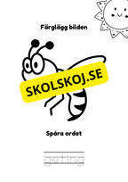 Spåra och färglägg - Sommardjur och insekter