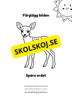 Spåra och färglägg - Sommardjur och insekter
