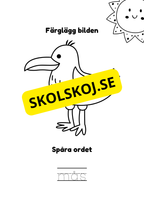 Spåra och färglägg - Sommardjur och insekter