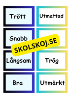 Synonymer - Flashkort