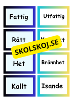Synonymer - Flashkort