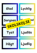Synonymer - Flashkort