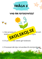 Tipspromenad - Årskurs 5 - Skolstart