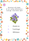 Tipspromenad - Vår