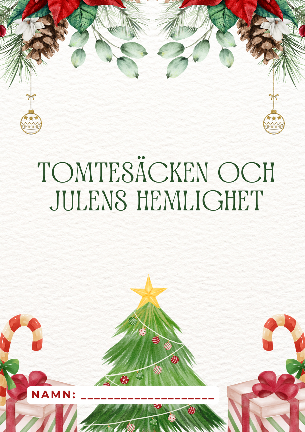 Tomtesäcken och julens hemlighet