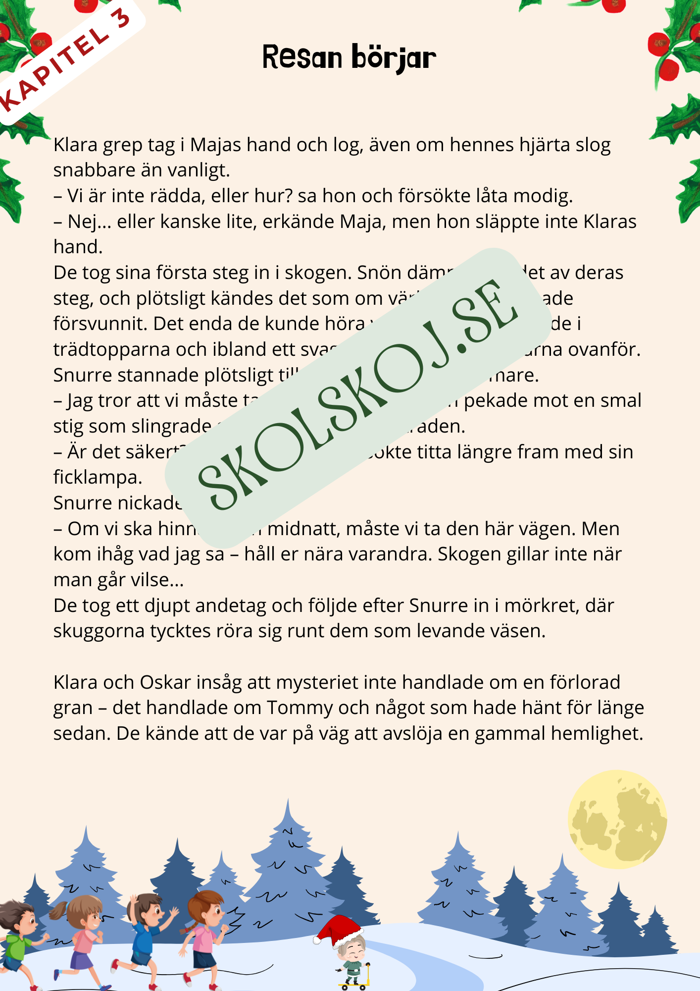 Tomtesäcken och julens hemlighet