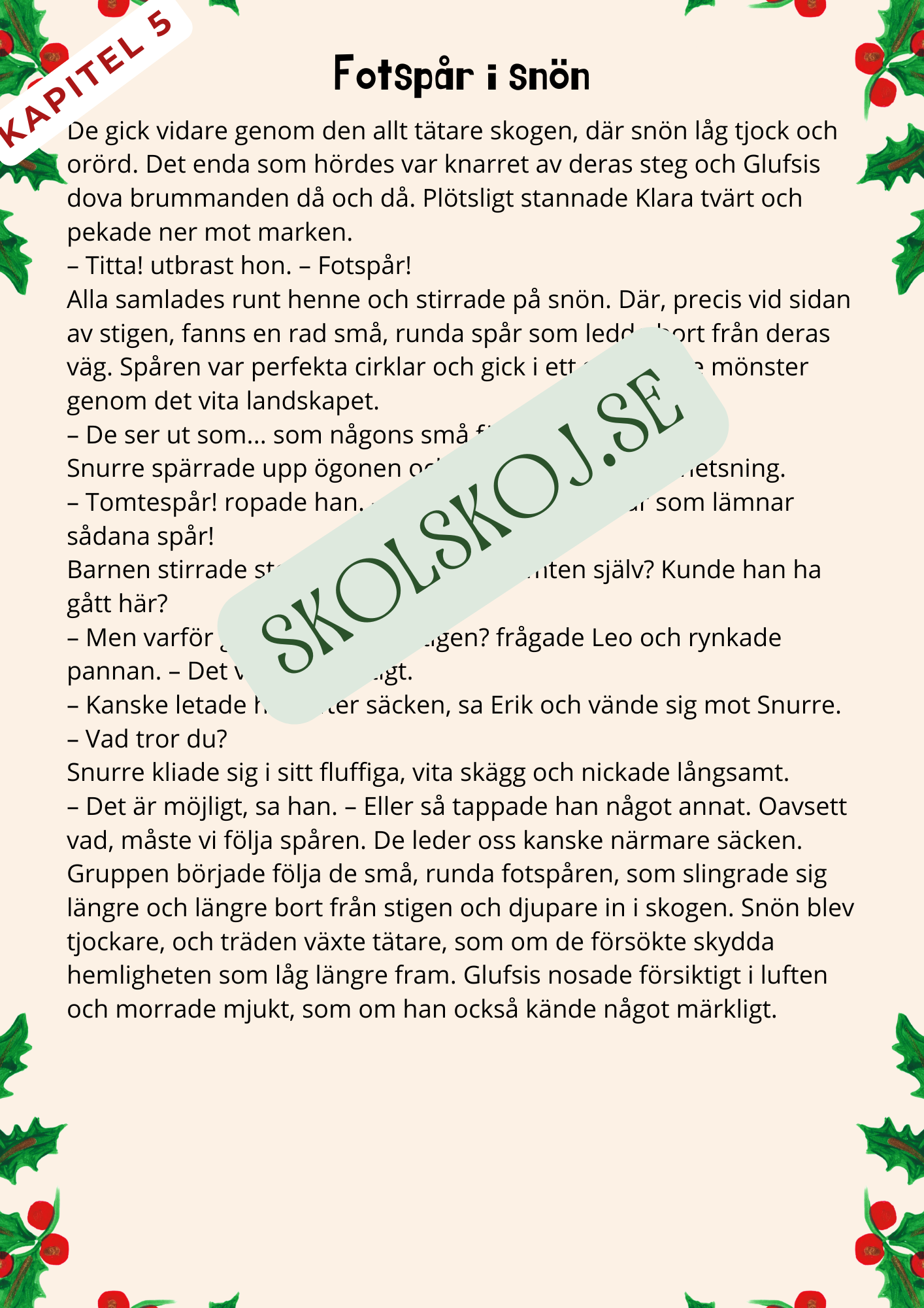 Tomtesäcken och julens hemlighet