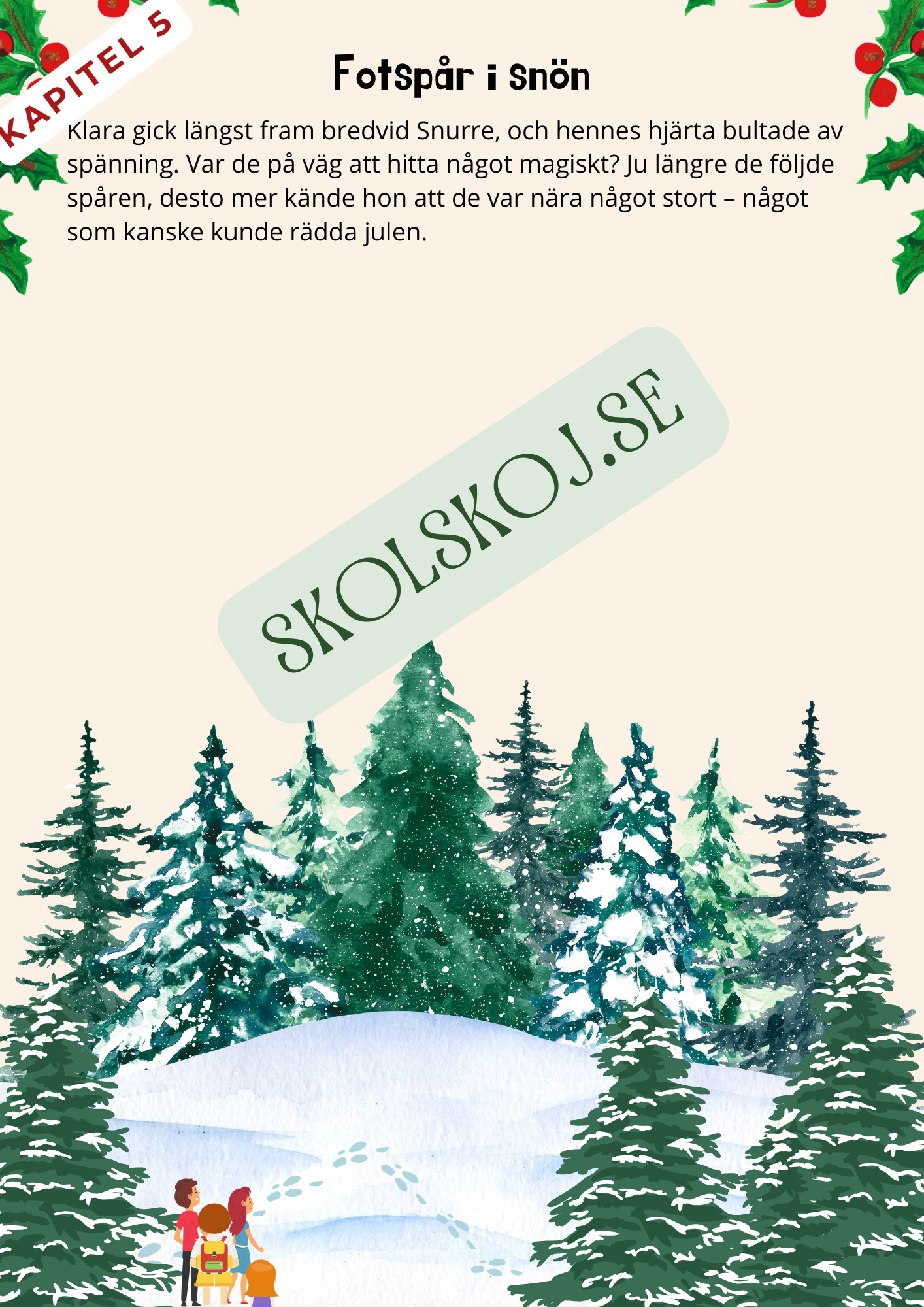 Tomtesäcken och julens hemlighet