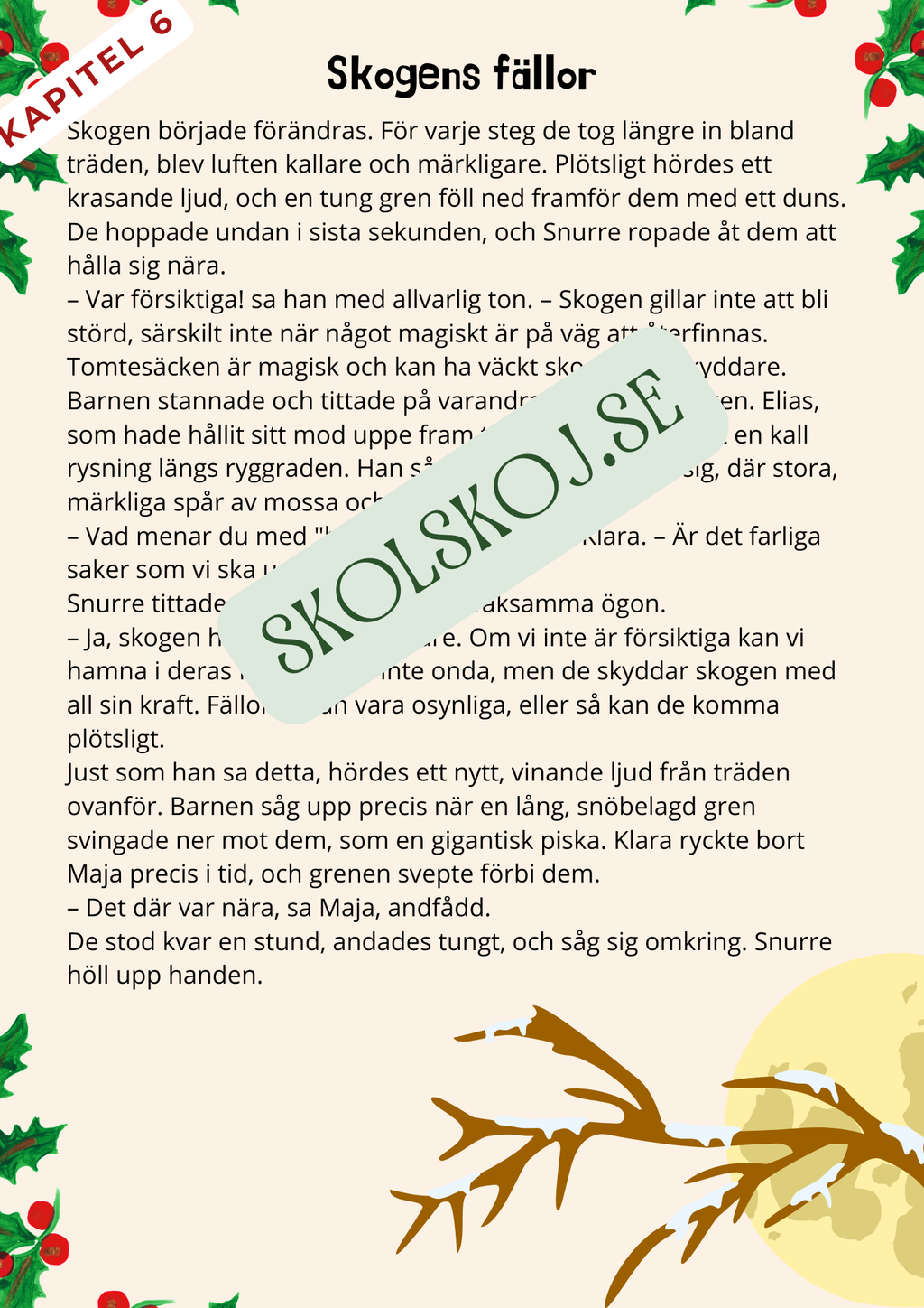 Tomtesäcken och julens hemlighet