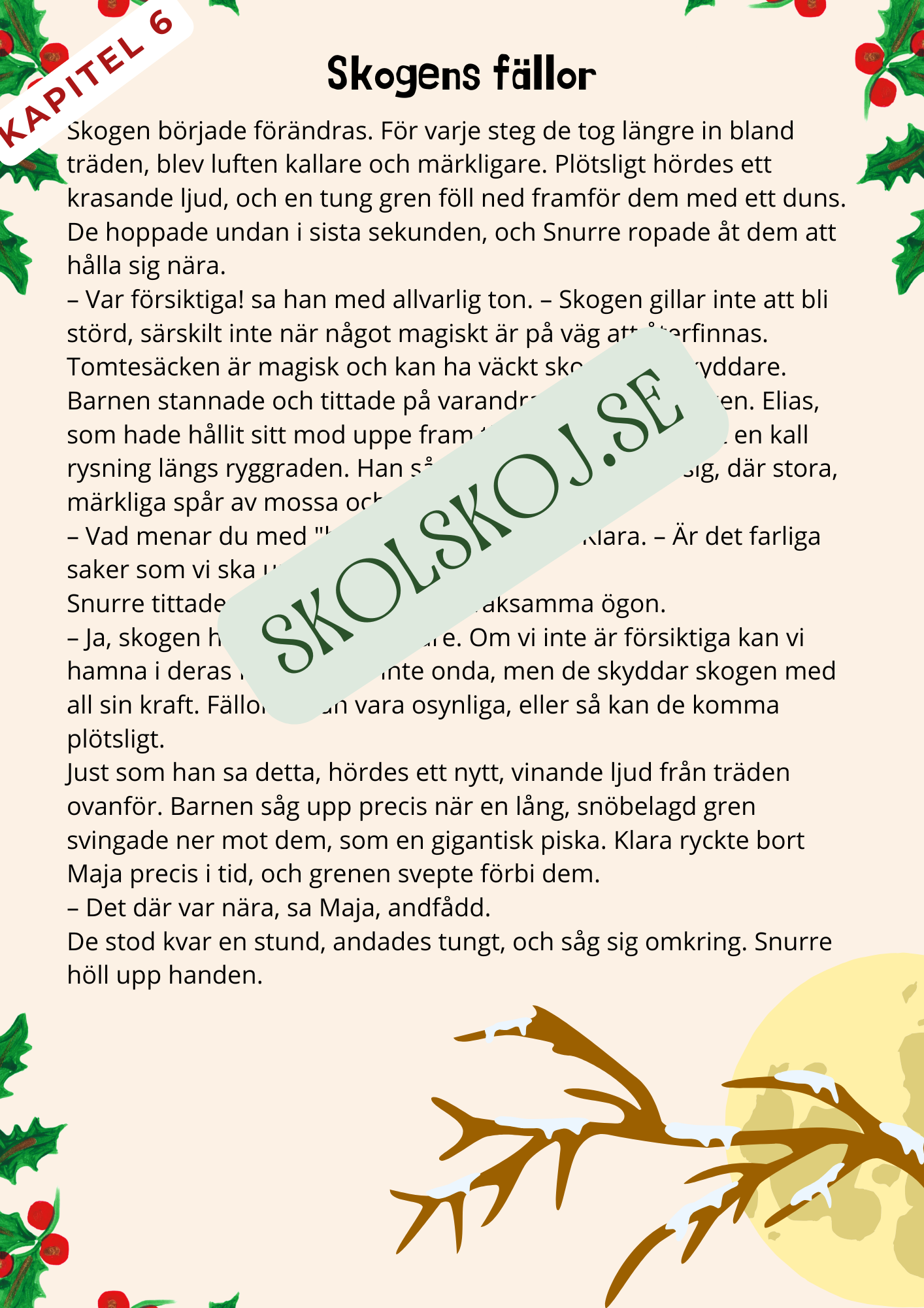 Tomtesäcken och julens hemlighet