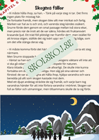 Tomtesäcken och julens hemlighet