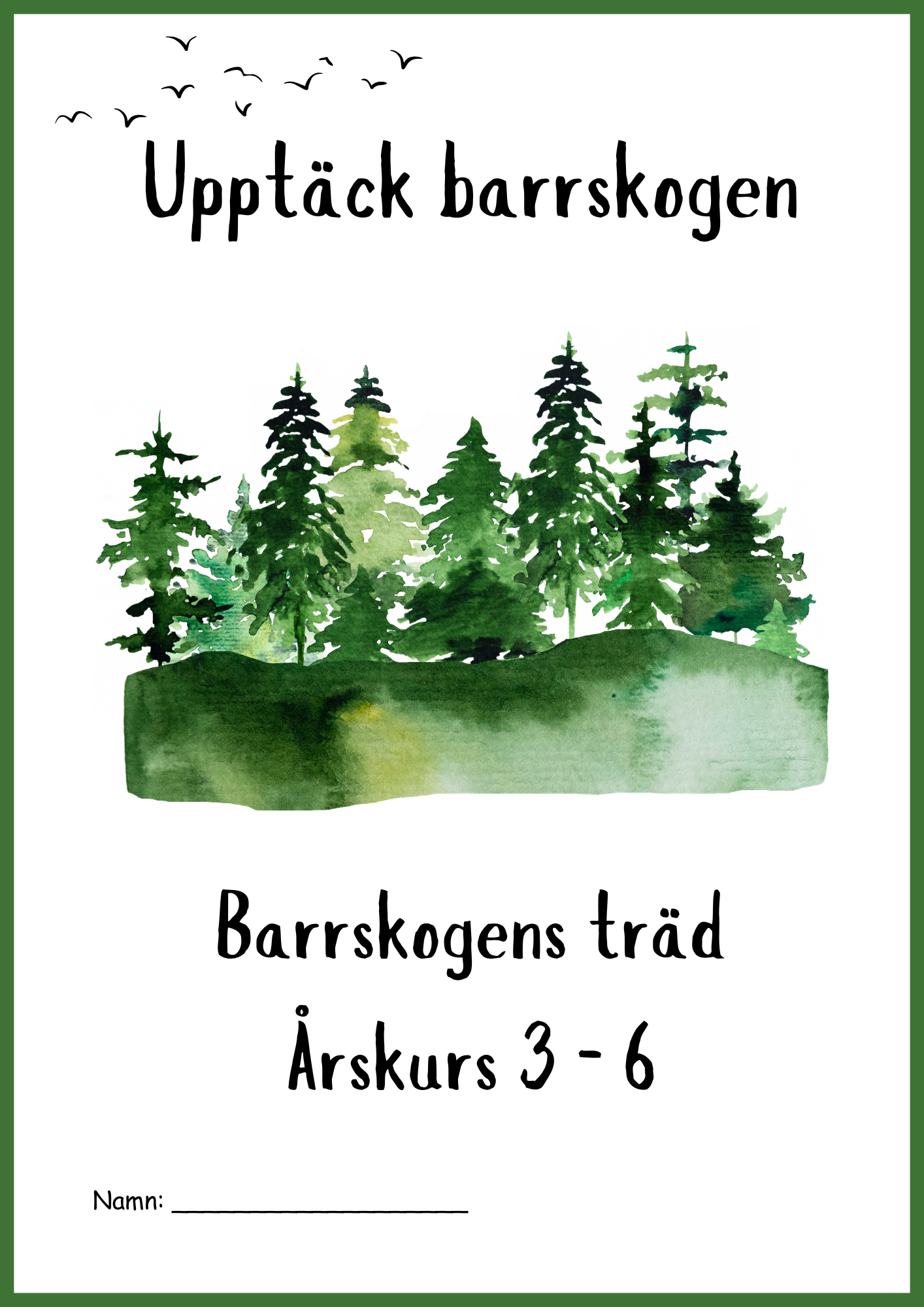 Upptäck barrskogen - Barrskogens träd - Årskurs 3 - 6