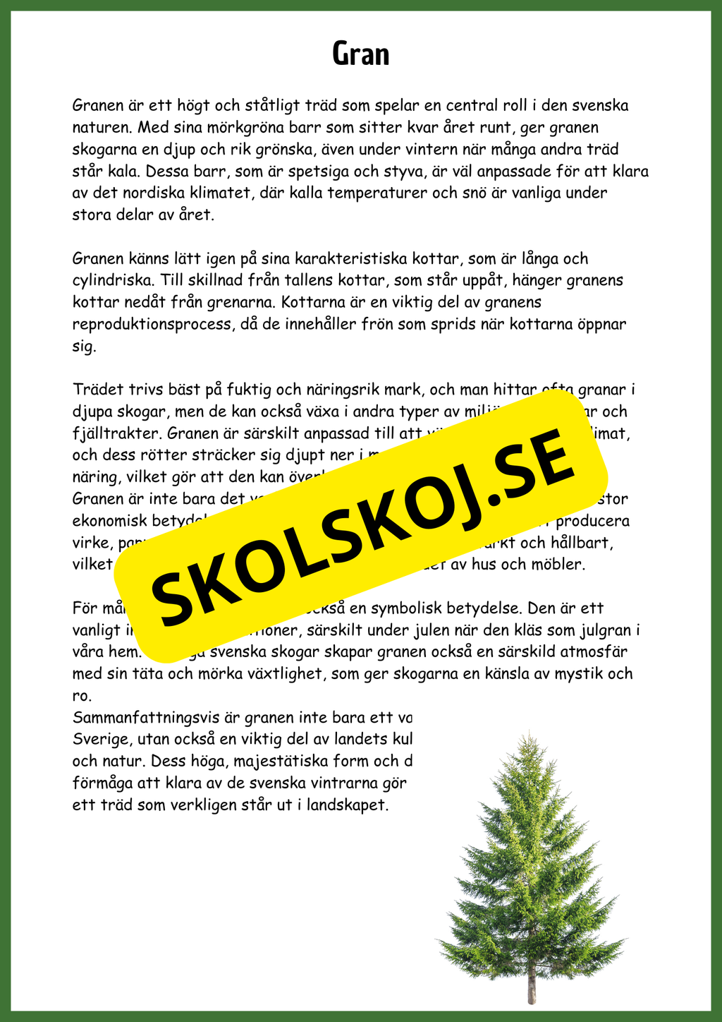 Upptäck barrskogen - Barrskogens träd - Årskurs 3 - 6