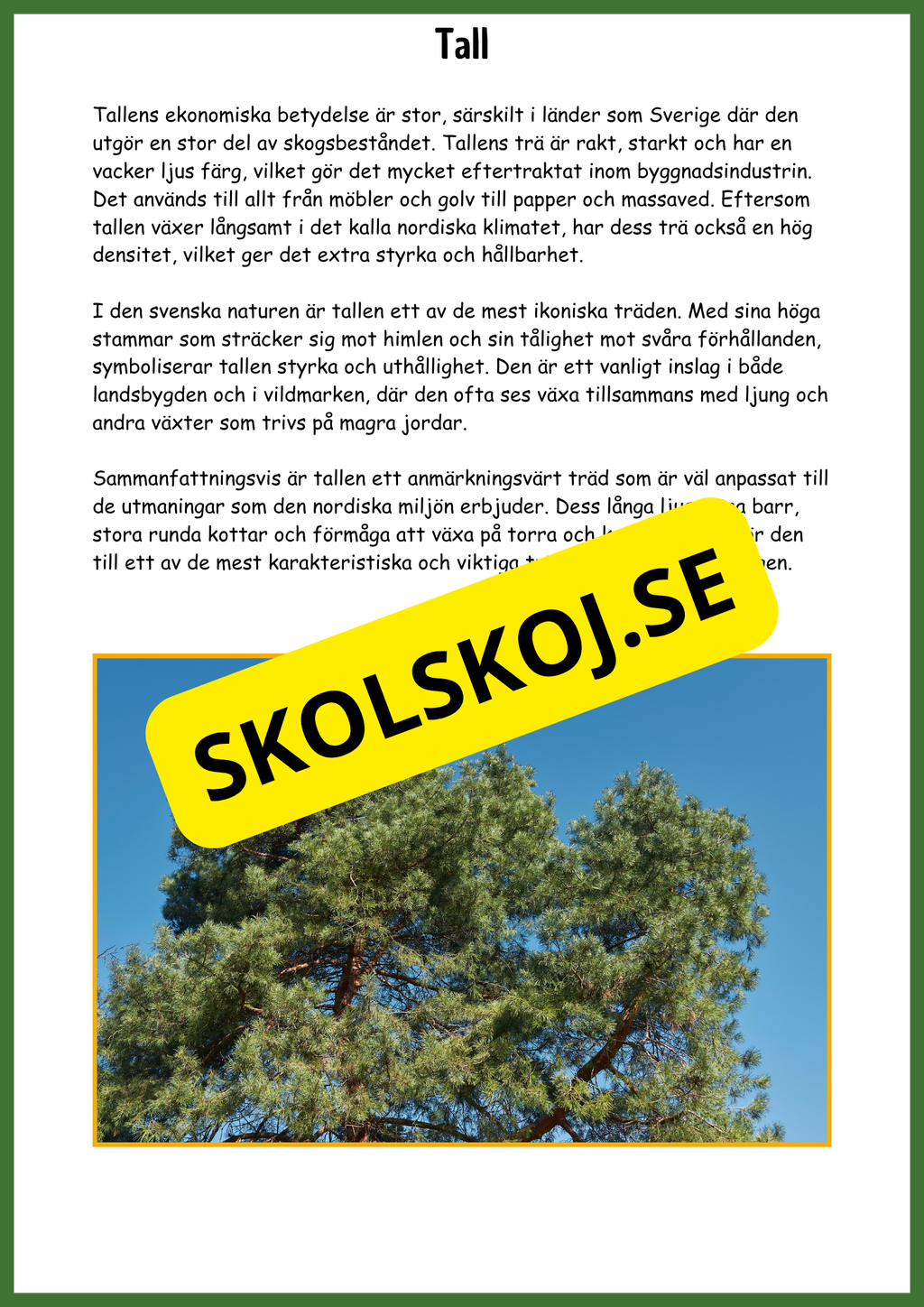 Upptäck barrskogen - Barrskogens träd - Årskurs 3 - 6