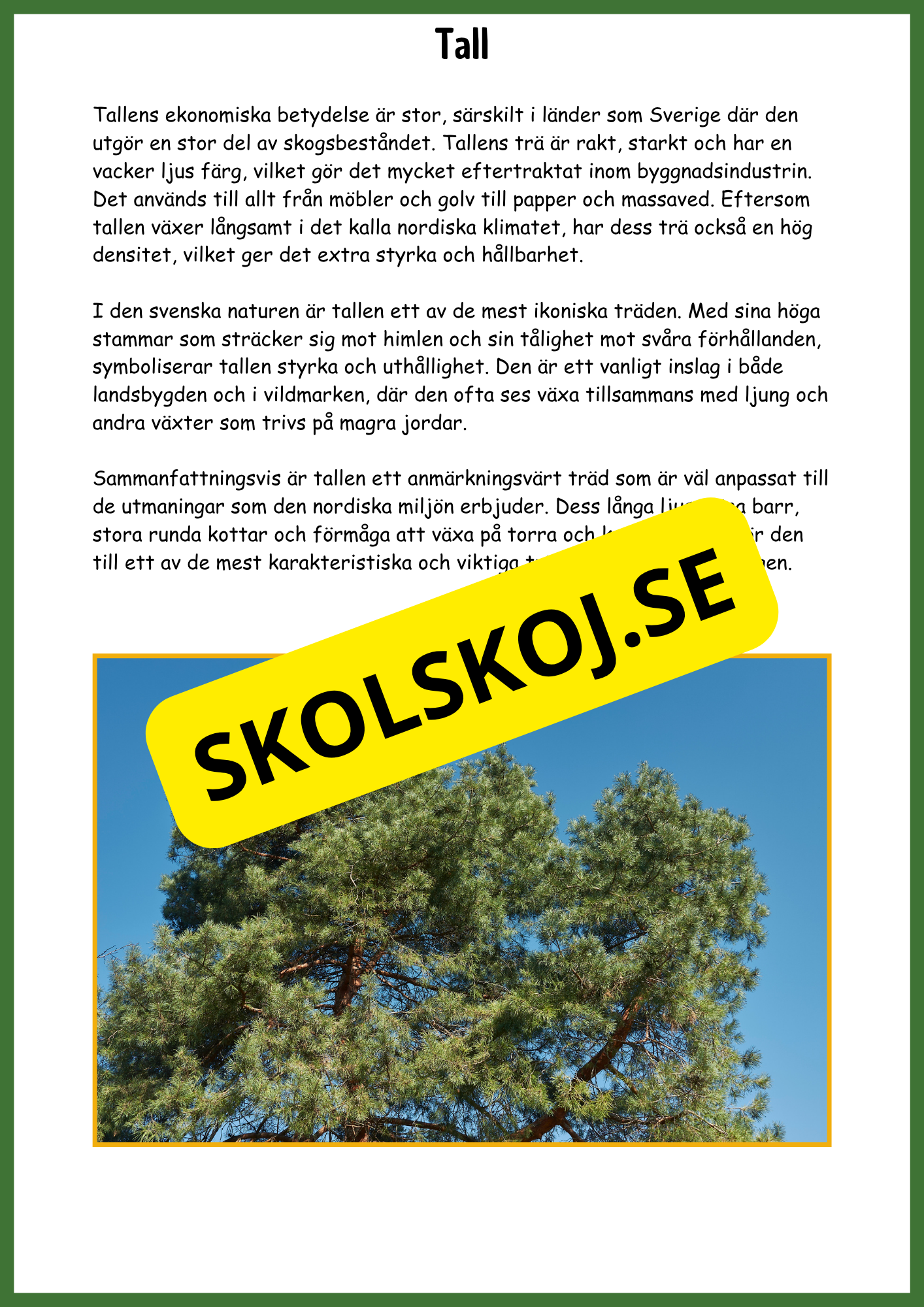 Upptäck barrskogen - Barrskogens träd - Årskurs 3 - 6