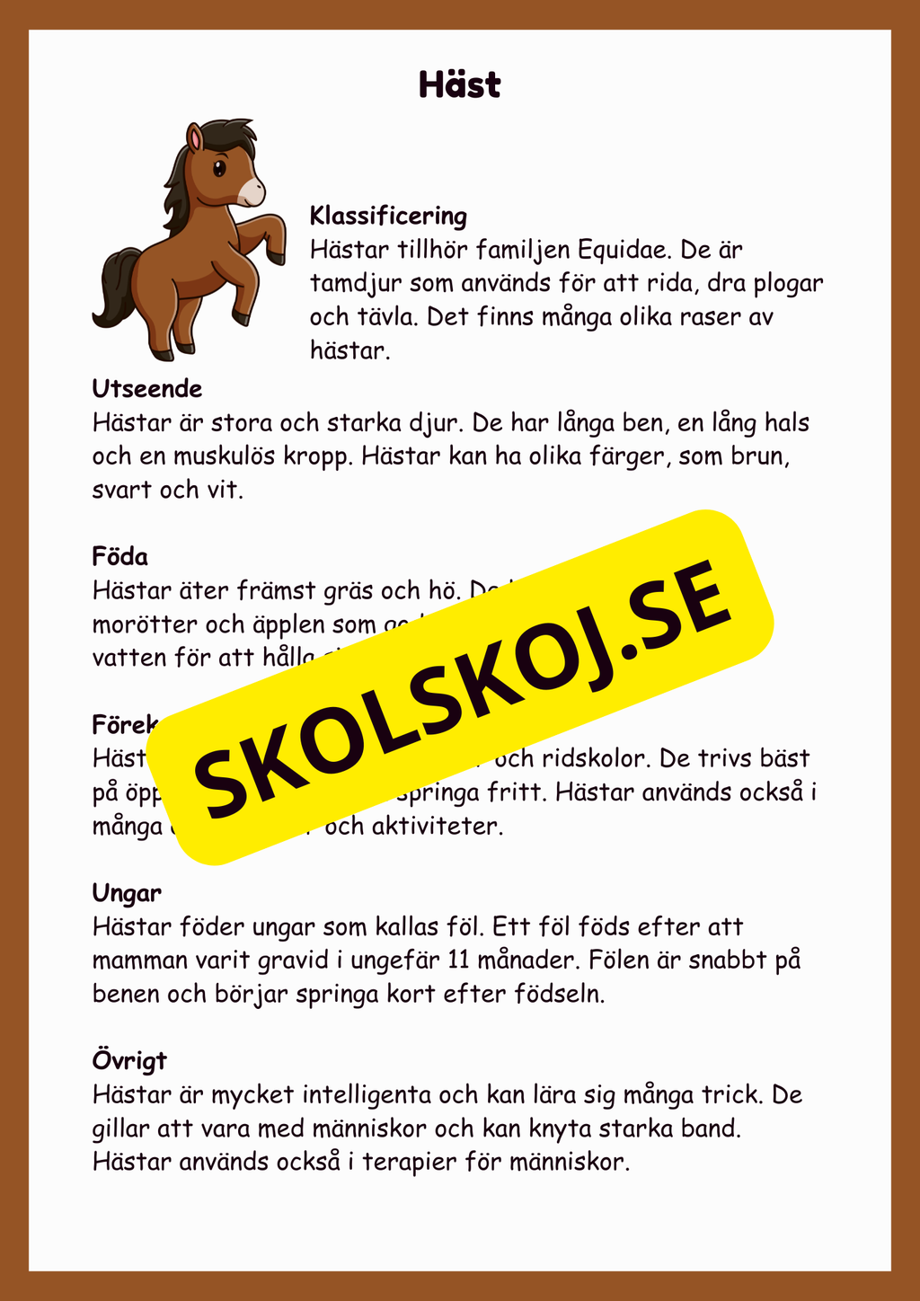 Upptäck bondgårdsdjuren - En rolig faktabok