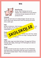 Upptäck bondgårdsdjuren - En rolig faktabok