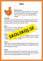 Upptäck bondgårdsdjuren - En rolig faktabok