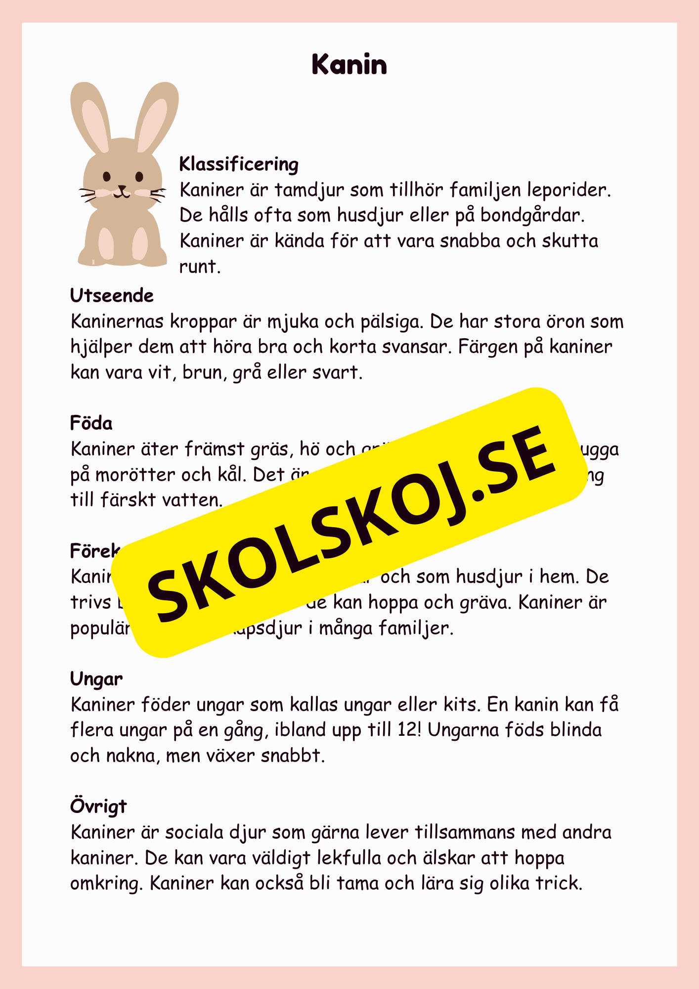 Upptäck bondgårdsdjuren - En rolig faktabok