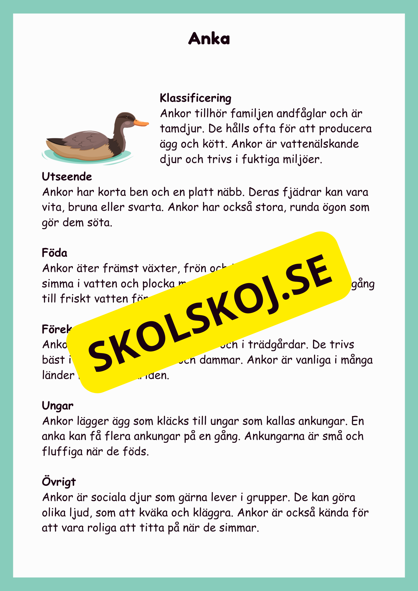 Upptäck bondgårdsdjuren - En rolig faktabok