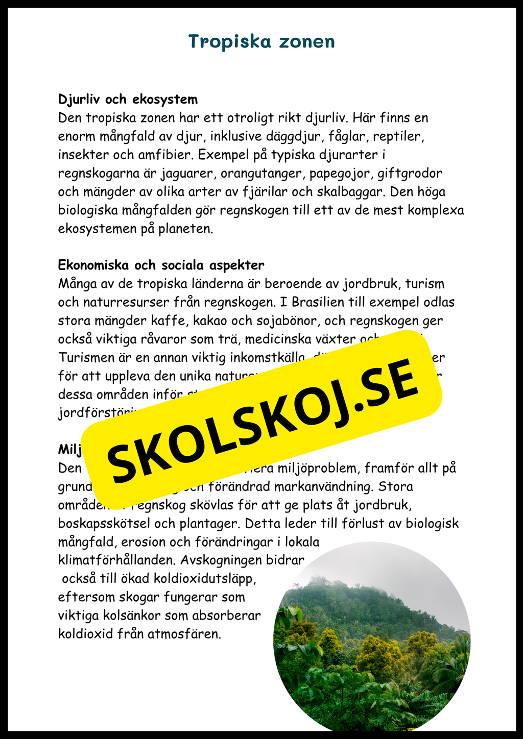 Upptäck jordens klimat- och vegetationszoner