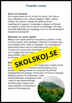 Upptäck jordens klimat- och vegetationszoner