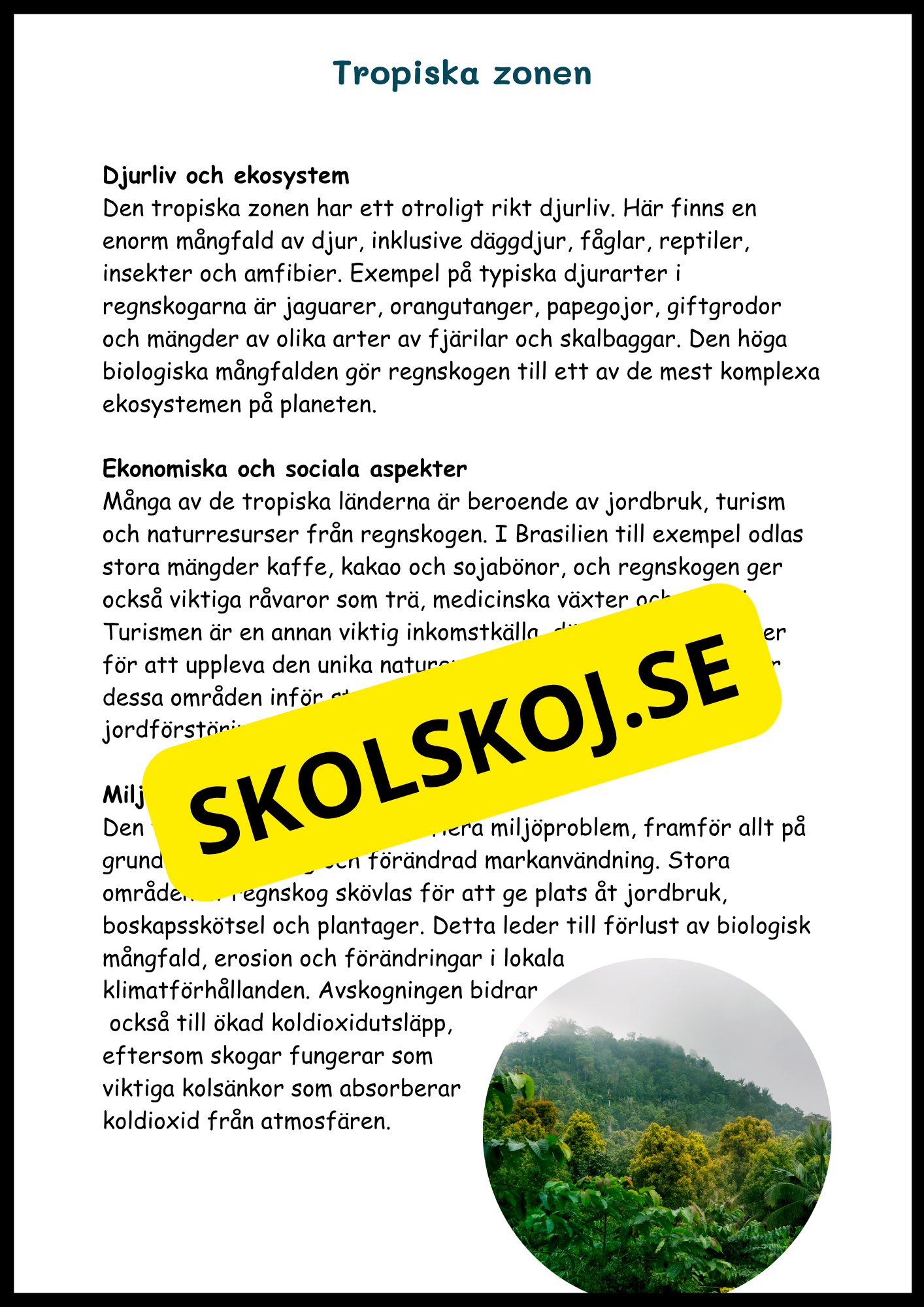 Upptäck jordens klimat- och vegetationszoner