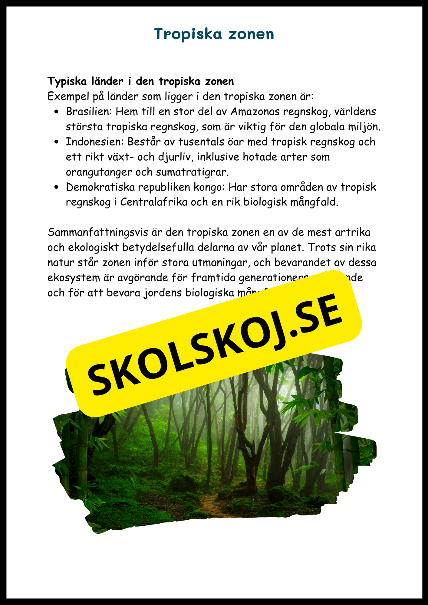 Upptäck jordens klimat- och vegetationszoner