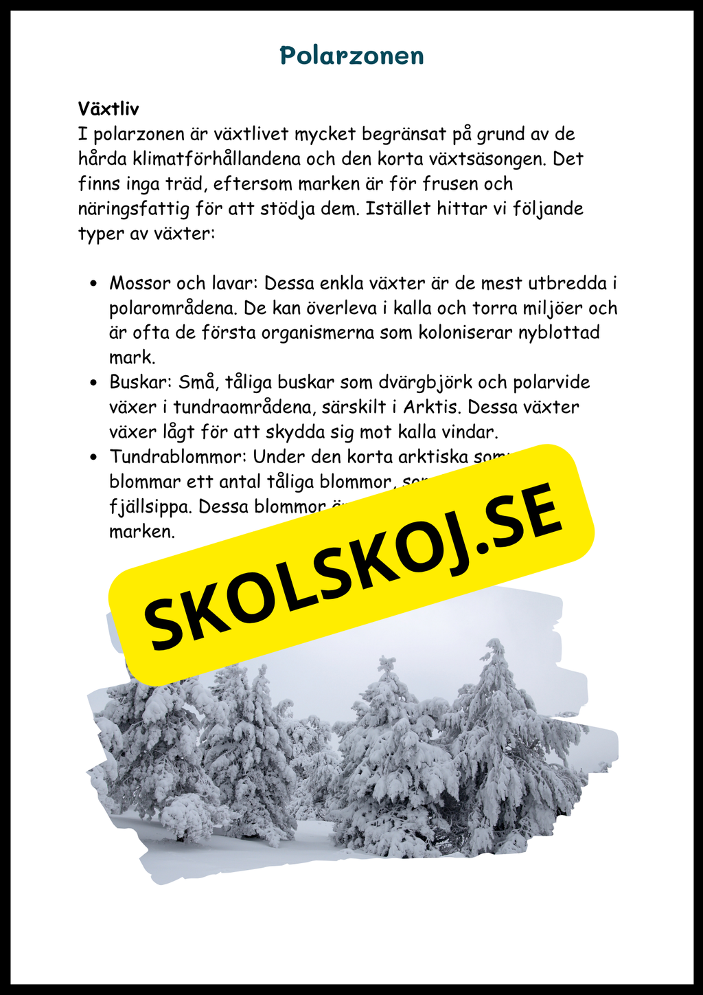 Upptäck jordens klimat- och vegetationszoner